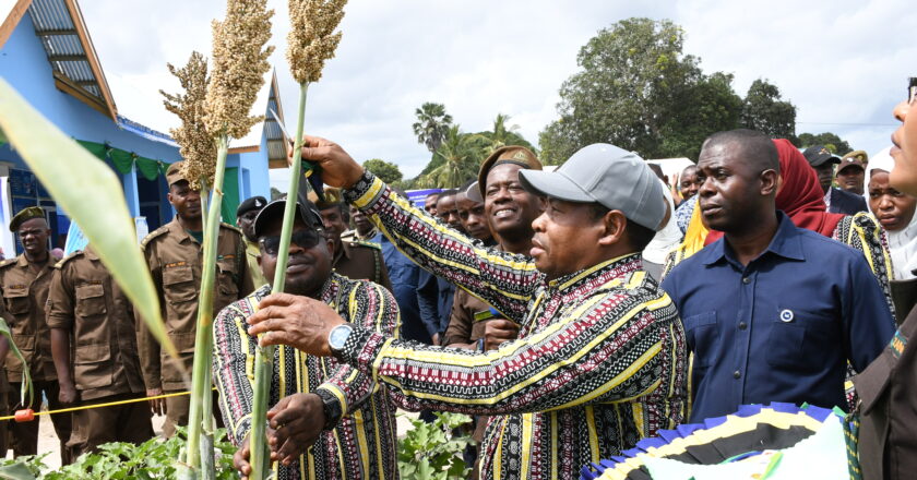 HABARI PICHA: Maadhimisho ya Siku ya Chakula Duniani yameanza leo katika viwanja vya Chamanangwe Wilaya ya Wete Mkoa wa Kaskazini Pemba.